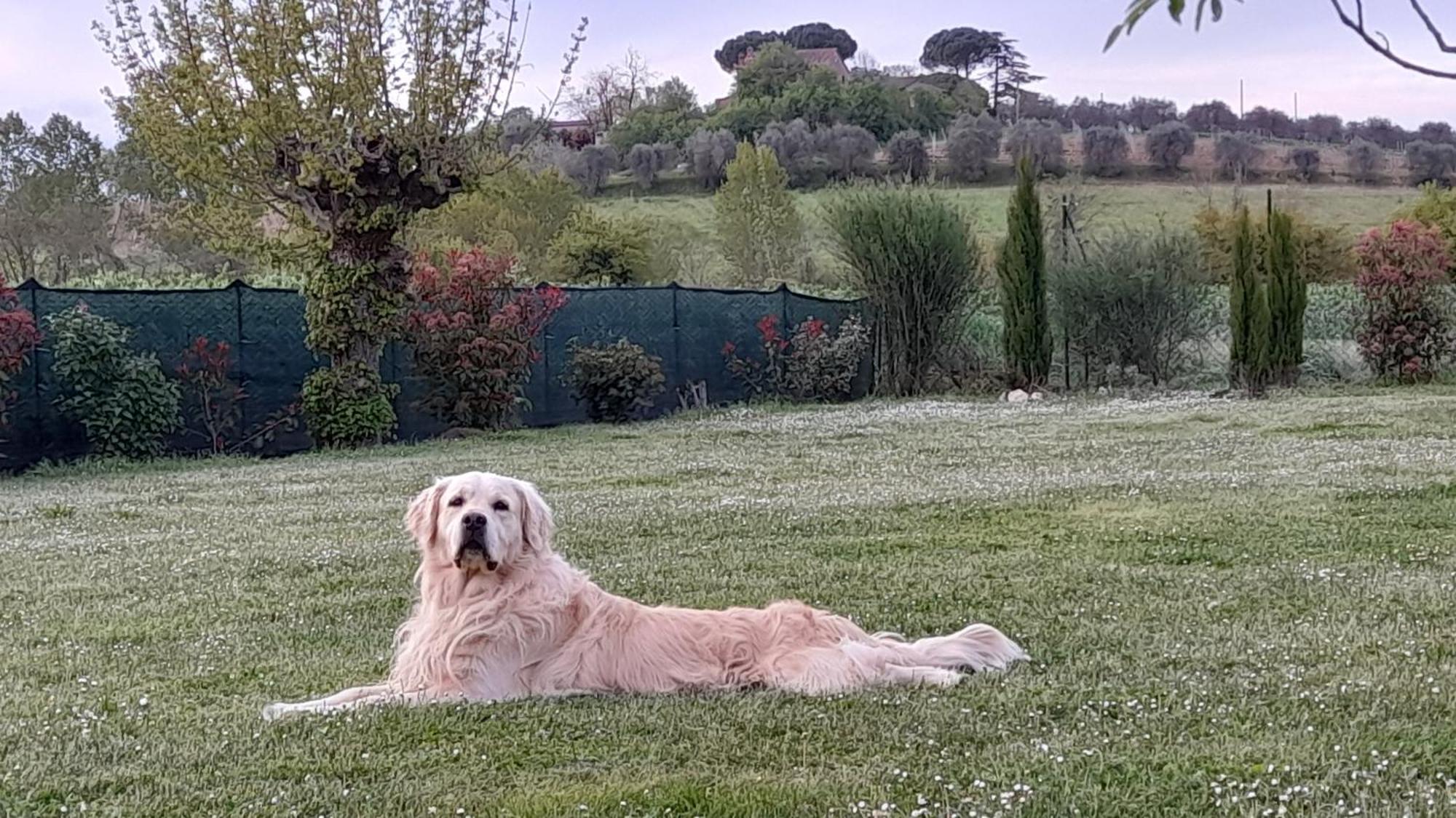 Montepulciano - La Casetta Del Pian Delle Noci Acquaviva  Eksteriør billede